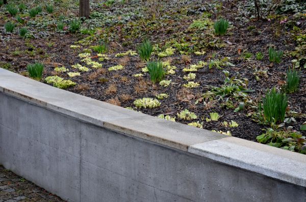 Concrete Wall Construction in Mason