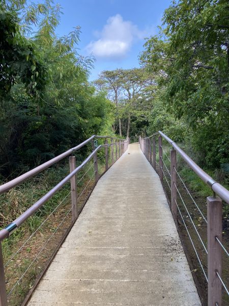 Footpath Construction in Mason