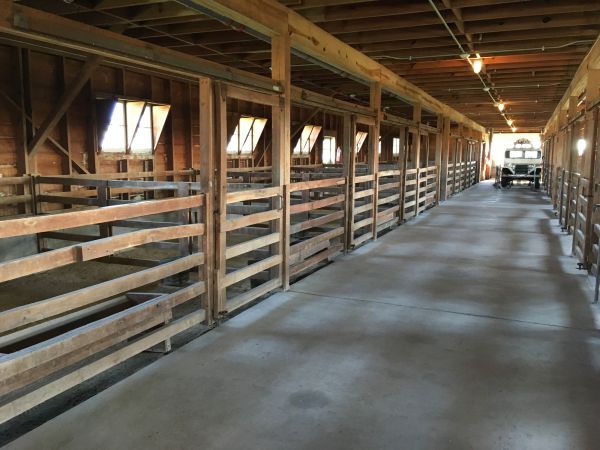 Barn Floor Pouring in Mason