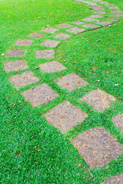 Backyard Pathway Construction in Mason