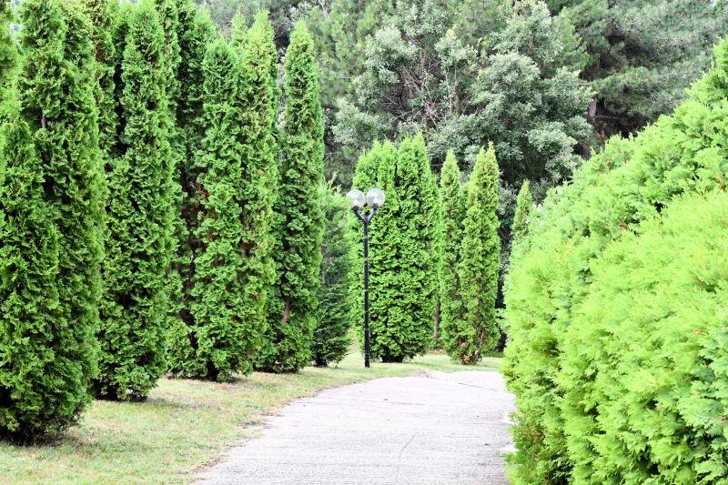 Footpath Construction