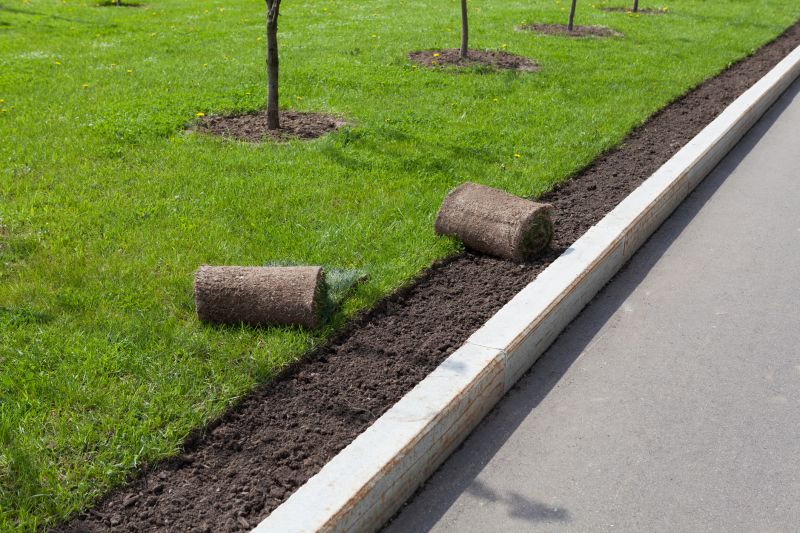 Lawn Curbing Installation
